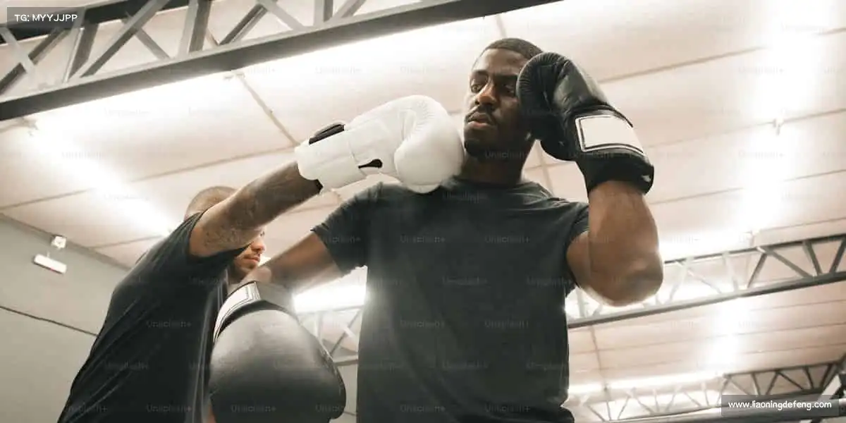 行业领先的理由